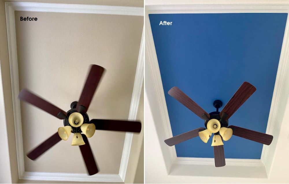 Ceiling Inset