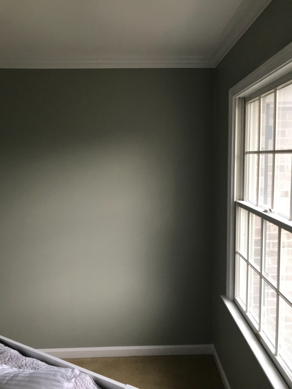 gray green painted walls window light entering room