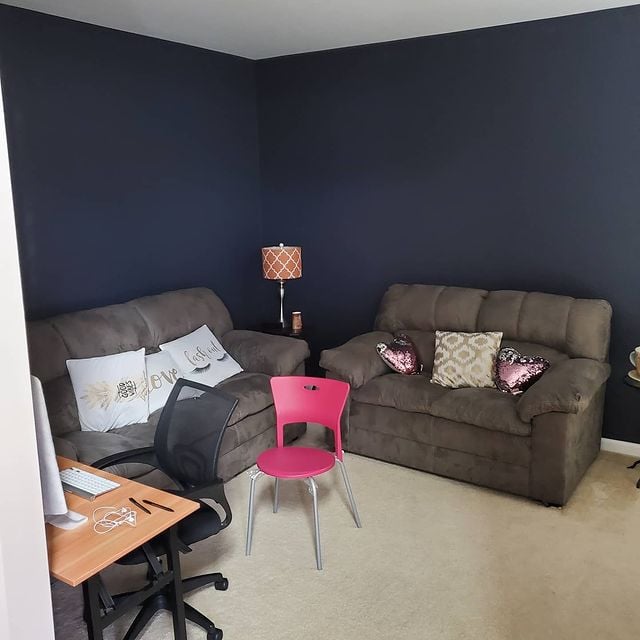 Delaware Painting, Residential Painting, Interior Painting, Color Consultation, Color Consultant, Remodeling, Expert Painting, Sherwin-Williams, Living Room, 19703