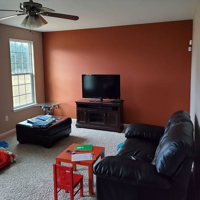 Delaware Painting, Residential Painting, Interior Painting, Color Consultation, Color Consultant, Remodeling, Expert Painting, Sherwin-Williams, Living Room, Accent Wall, Vibrant Color, Bear