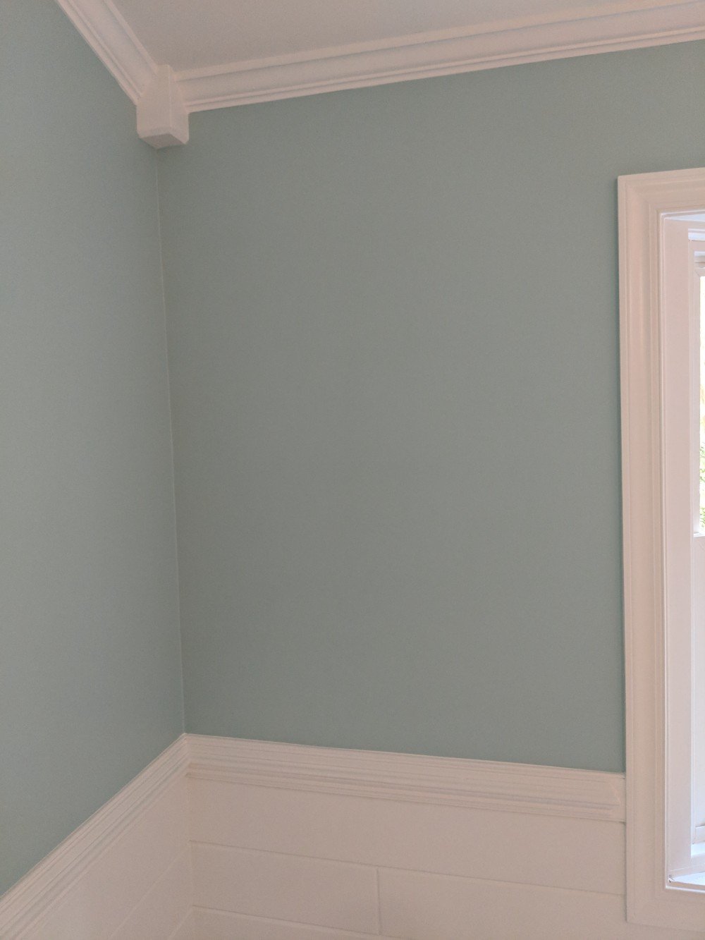 Interior Bathroom Walls- Soft Green