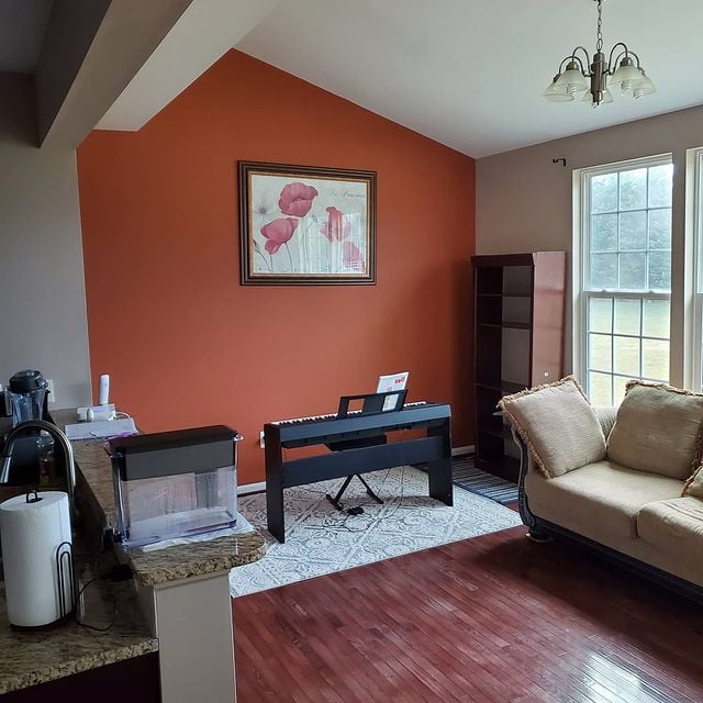 Delaware Painting, Residential Painting, Interior Painting, Color Consultation, Color Consultant, Remodeling, Expert Painting, Sherwin-Williams, Living Room, Accent Wall, Vibrant Paint, Middletown