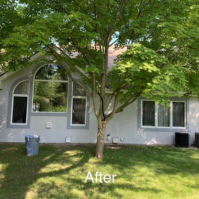 white home and grass lawn with tree 