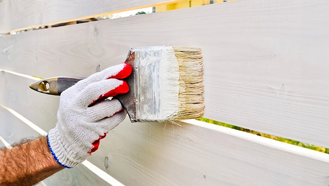 Person wearing a glove staining a wooden fence white.