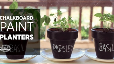 Three potted herbs with text: Chalkboard paint planters.