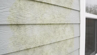 Green algae on vinyl siding
